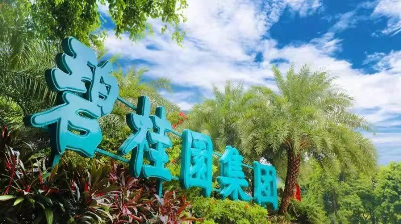 春城晚报(微信)