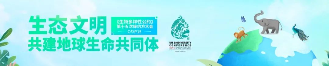 昆明信息港(微信)