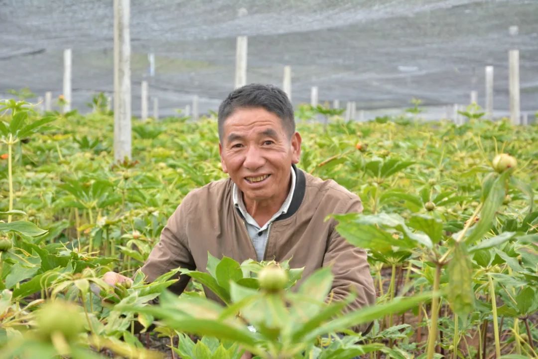 丽江日报(微信)