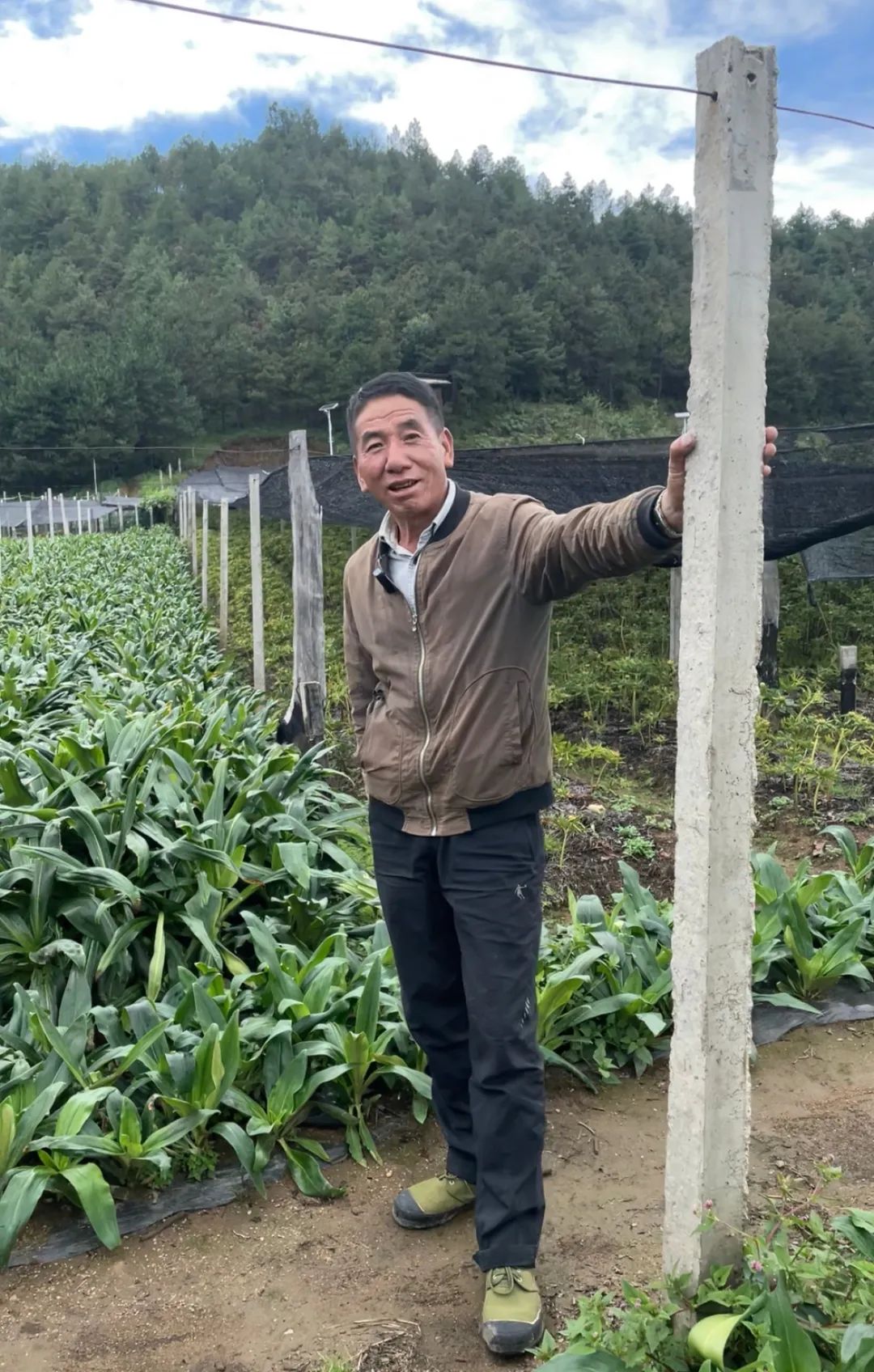 丽江日报(微信)