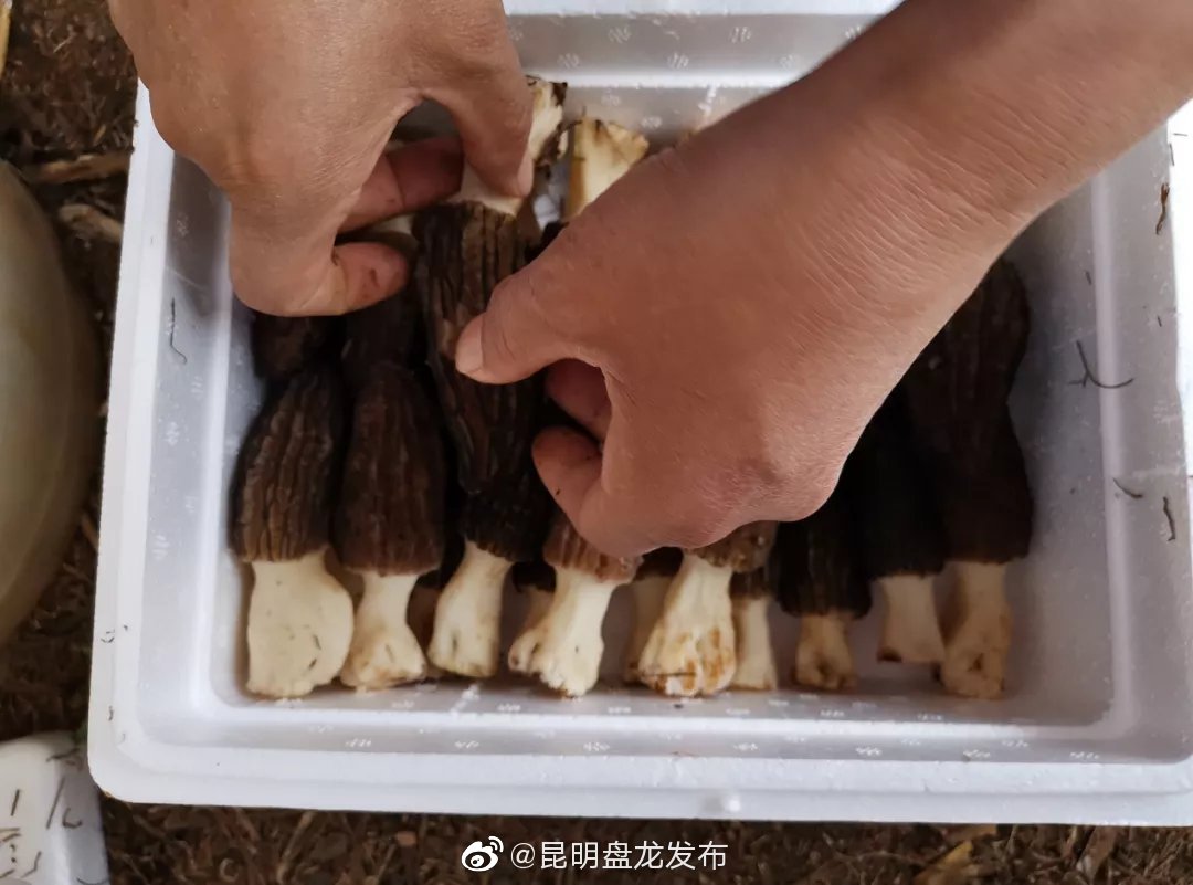 “昆明盘龙发布”微博