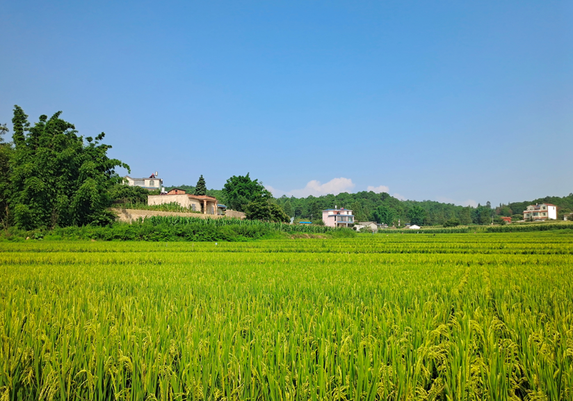 云南省人民政府网