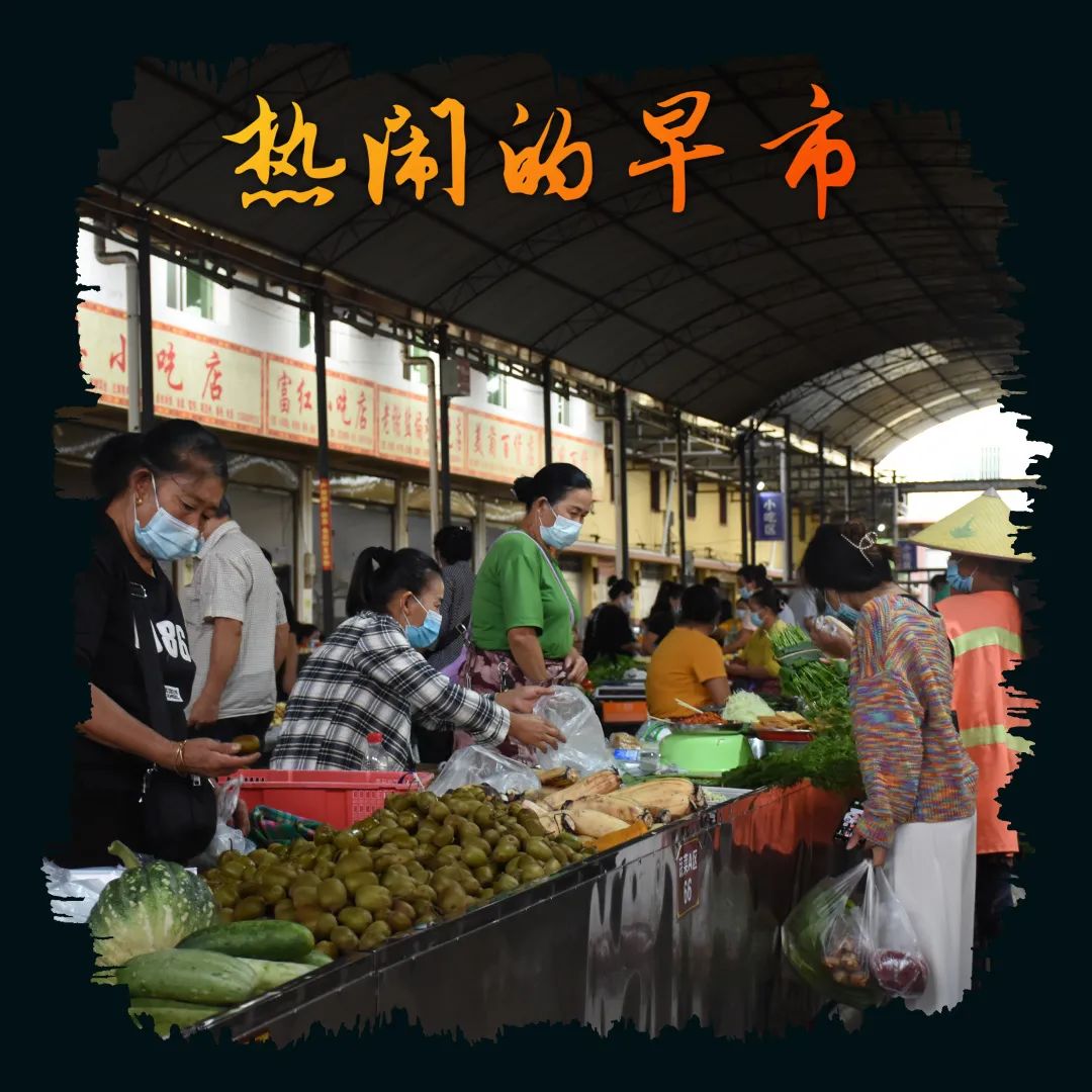 云南政法(微信)