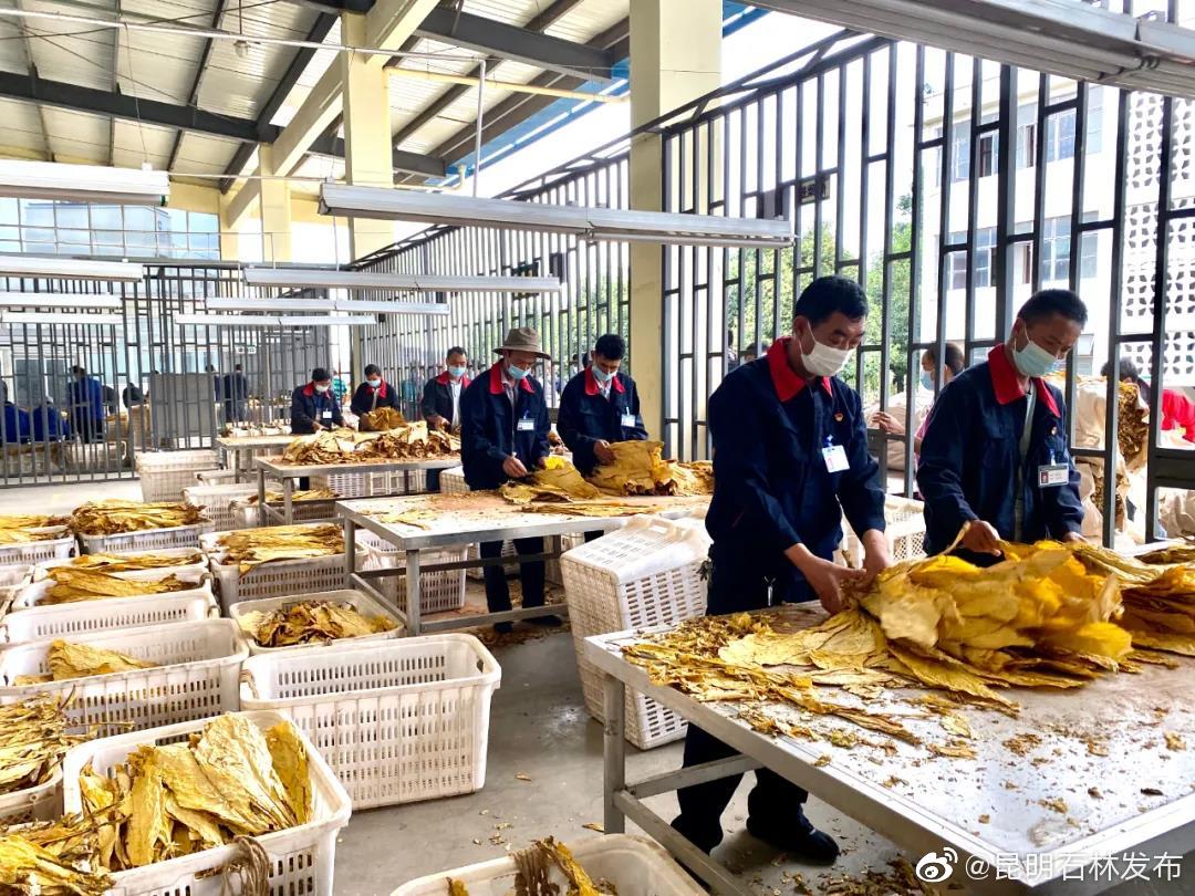 “昆明石林发布”微博