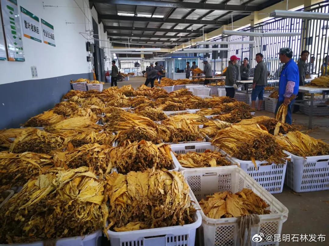 “昆明石林发布”微博