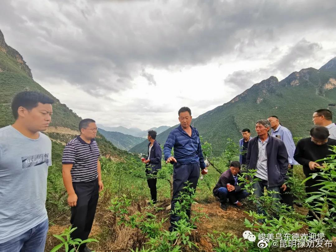 “昆明禄劝发布”微博