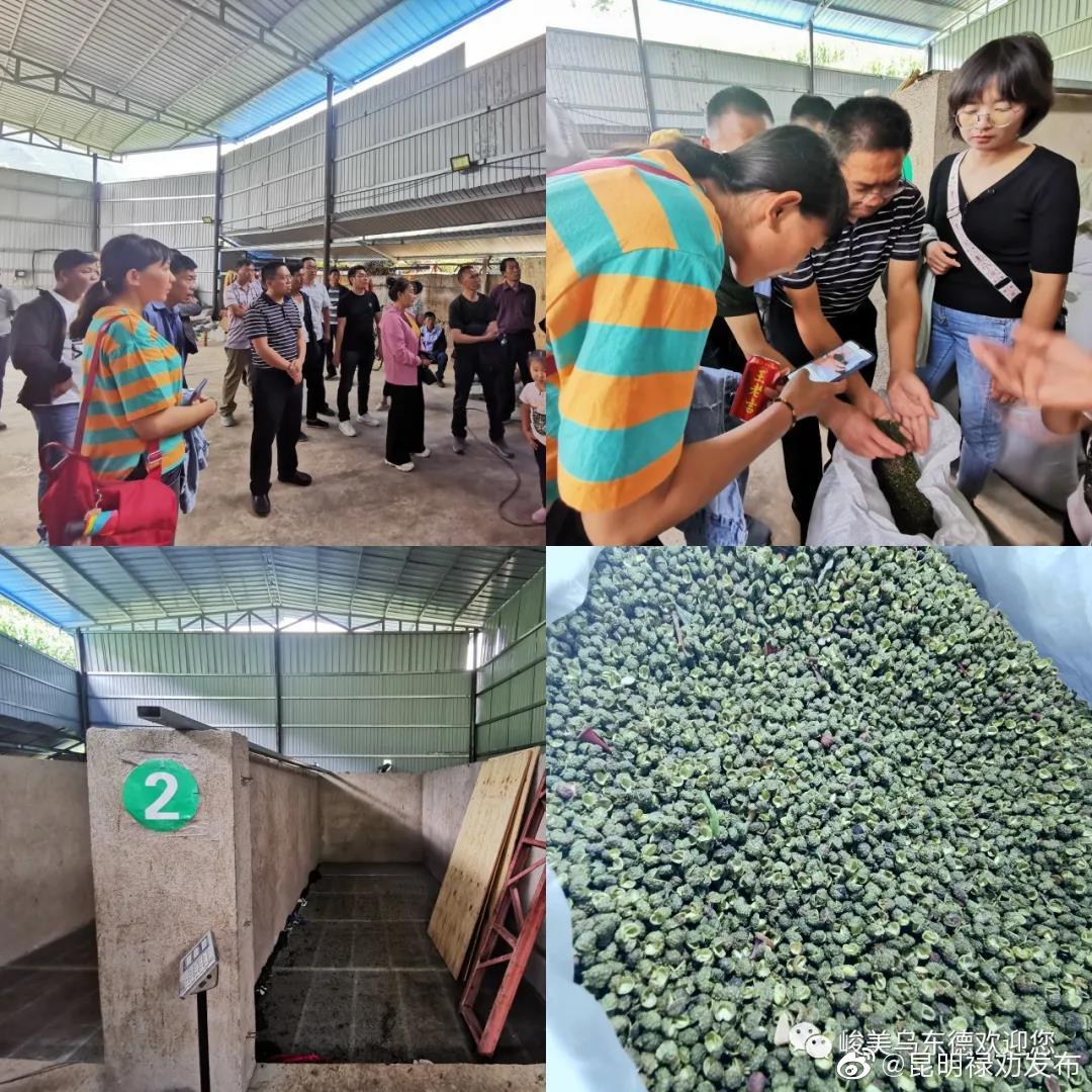 “昆明禄劝发布”微博