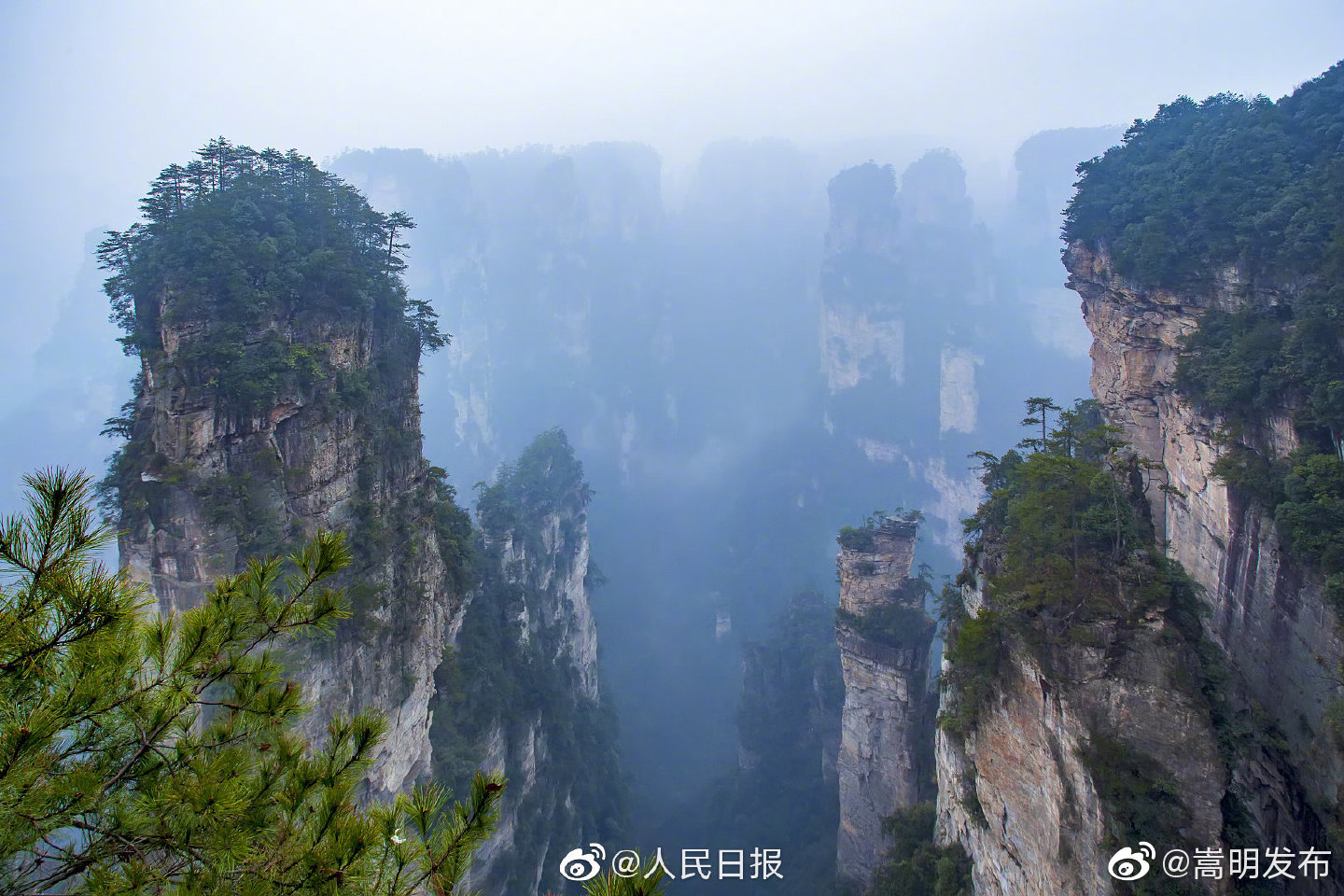“嵩明发布”微博
