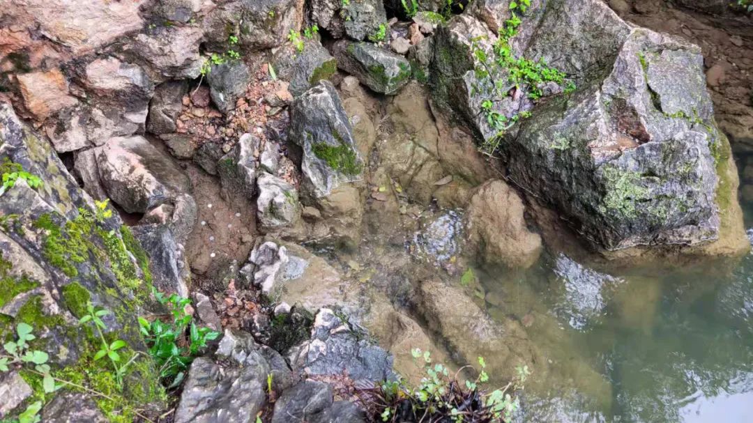 丽江日报(微信)