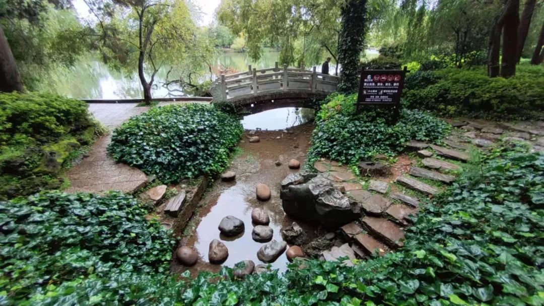 丽江日报(微信)