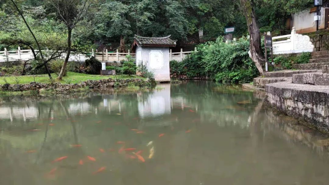 丽江日报(微信)