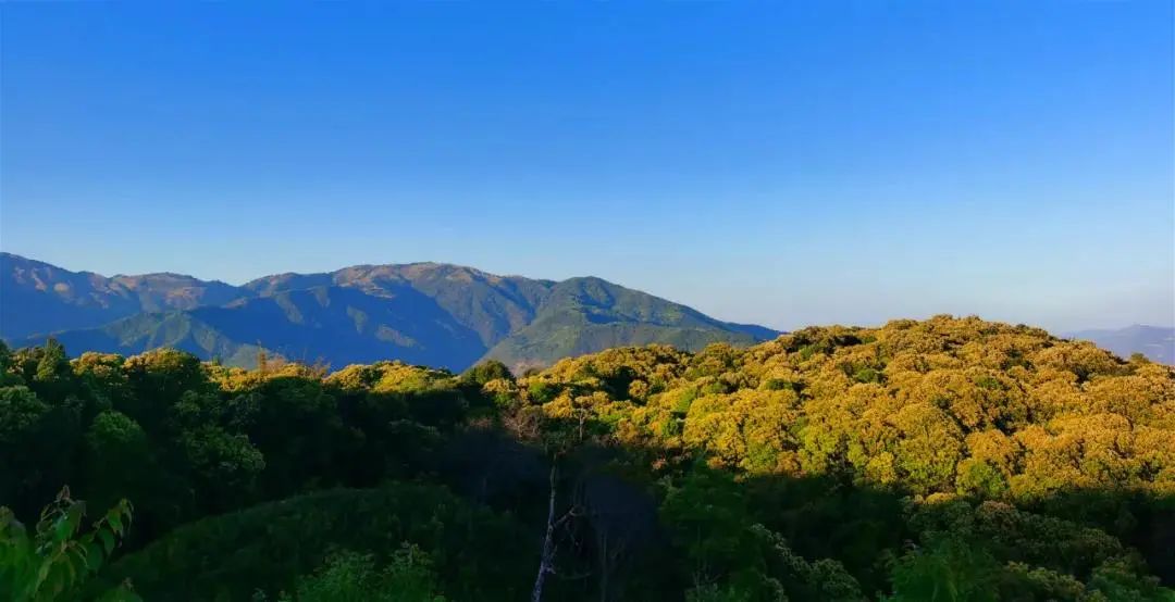 云南广播电视台(微信)