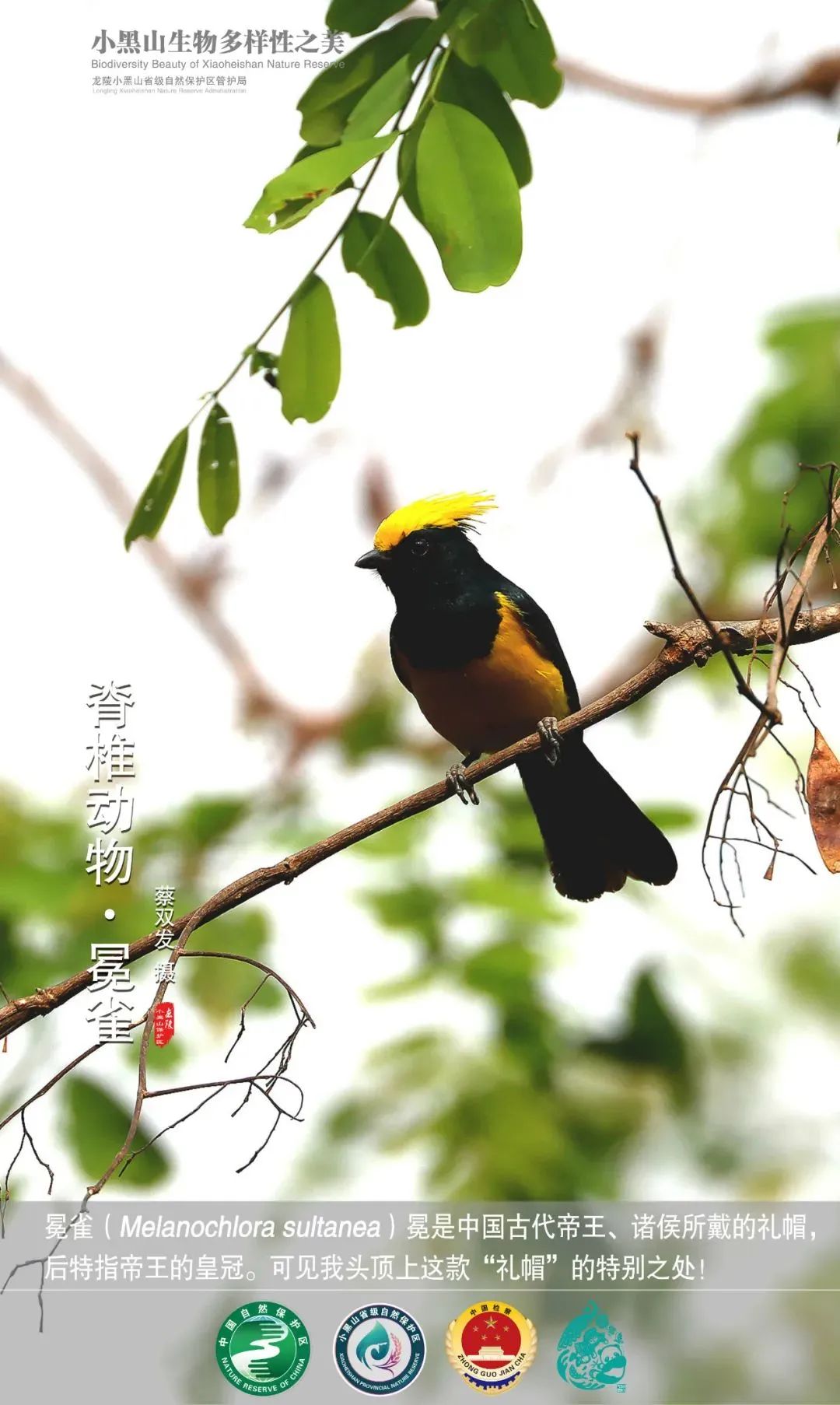 云南广播电视台(微信)