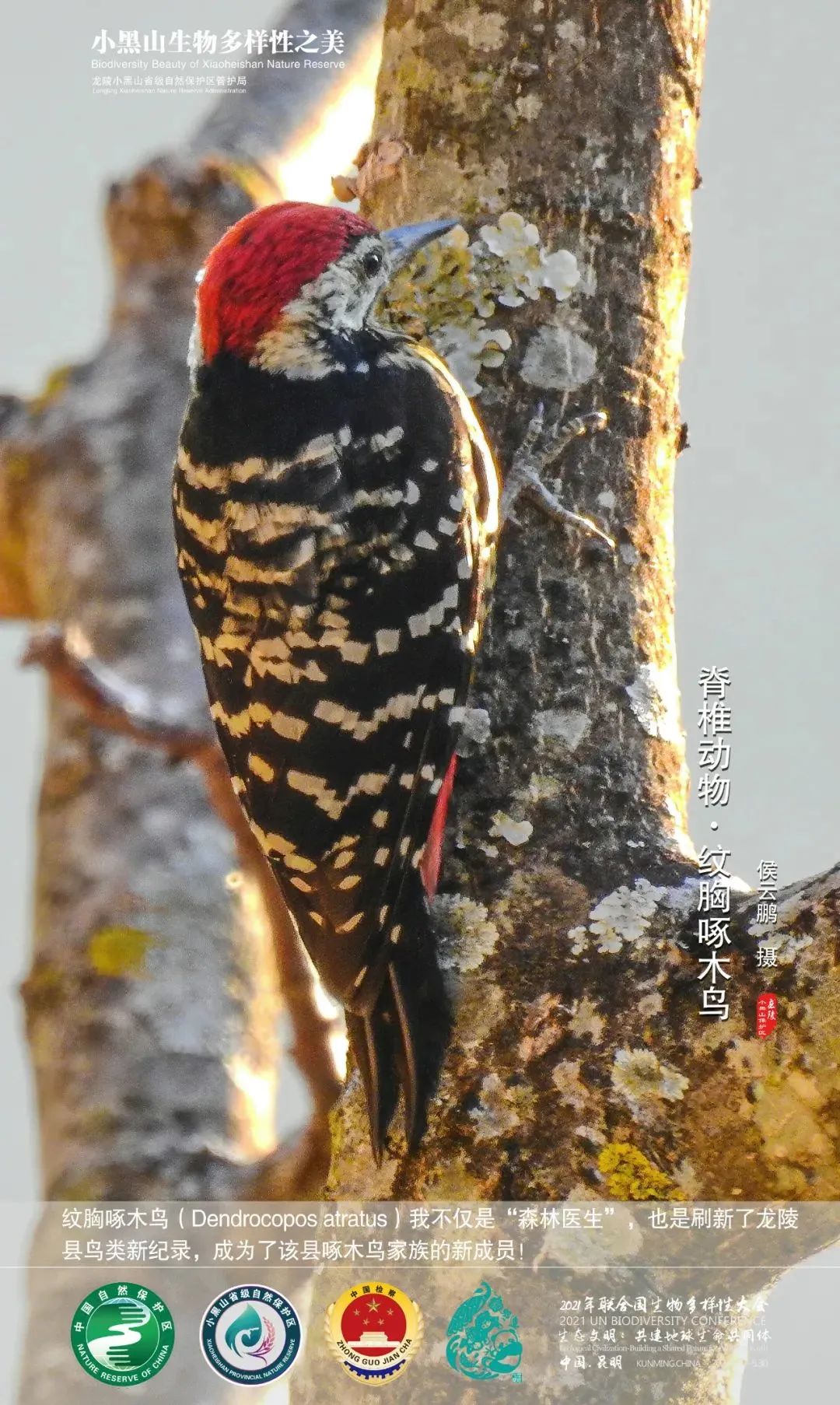 云南广播电视台(微信)
