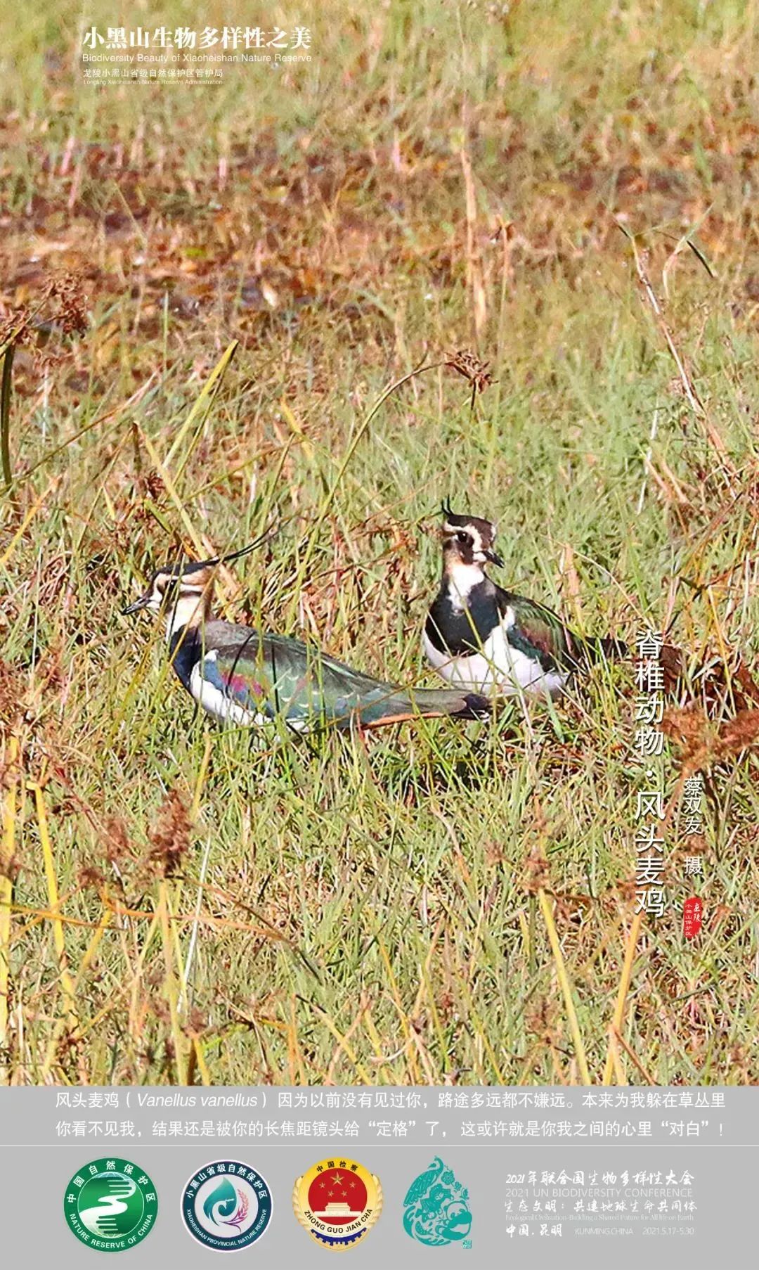云南广播电视台(微信)