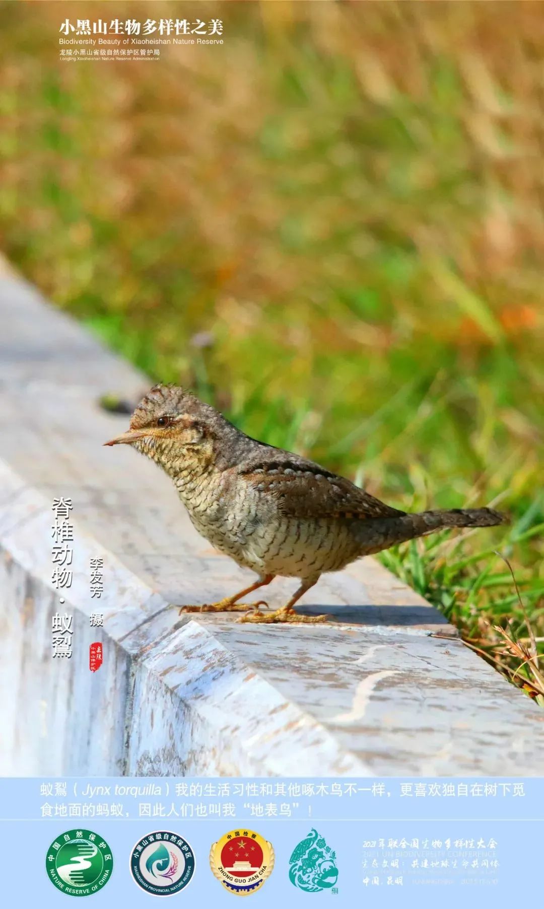 云南广播电视台(微信)