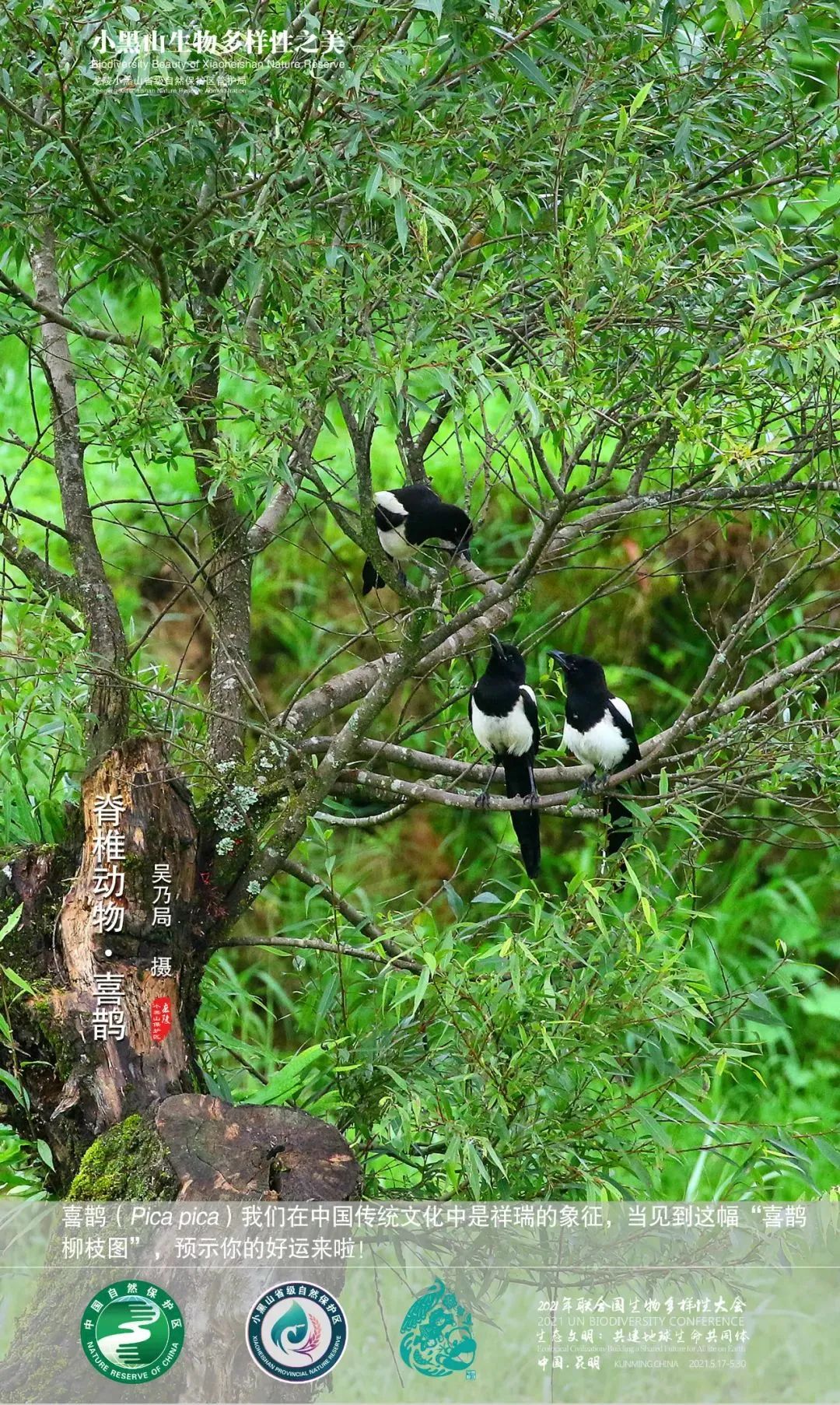 云南广播电视台(微信)