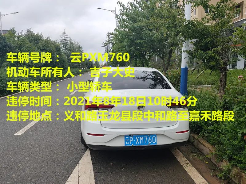 丽江日报(微信)