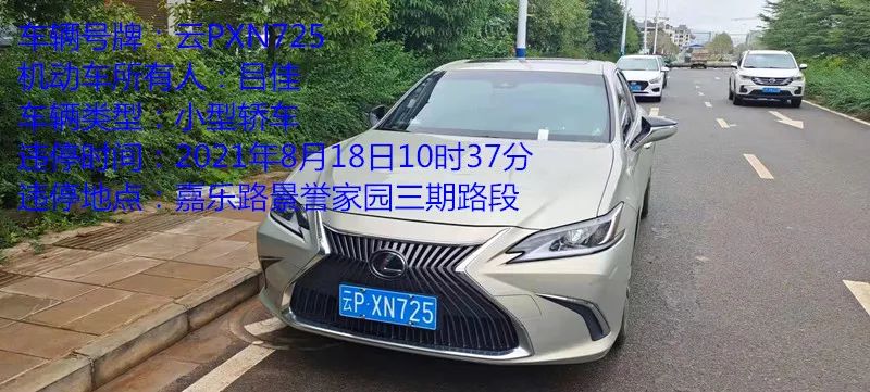 丽江日报(微信)