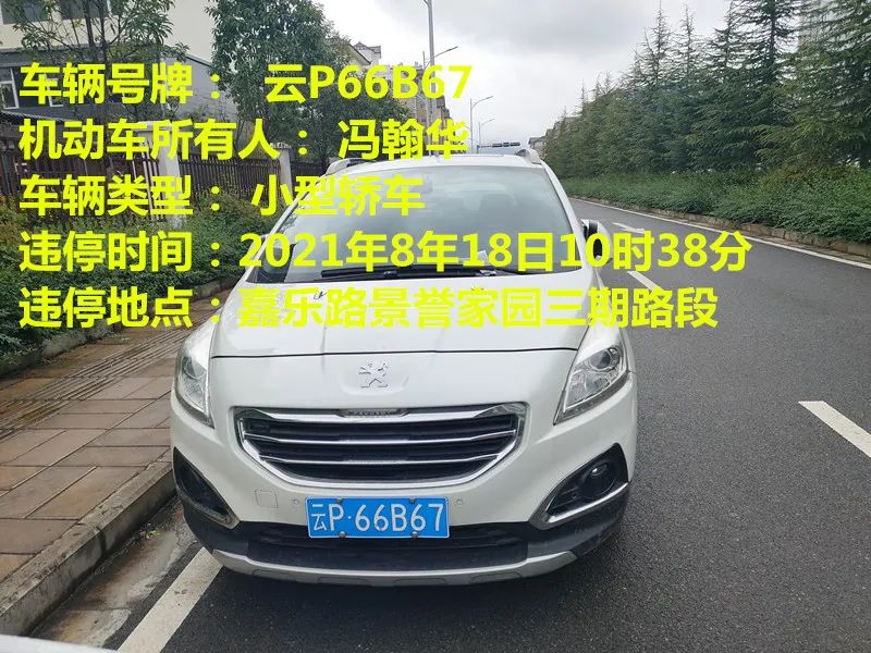 丽江日报(微信)