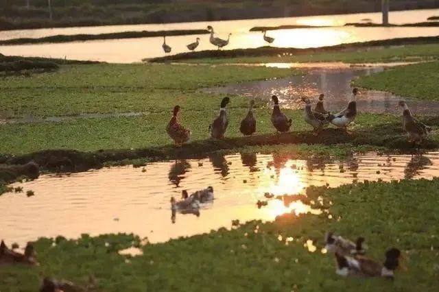 红河文旅(微信)