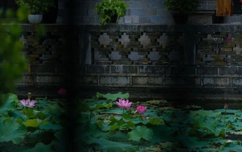 红河文旅(微信)