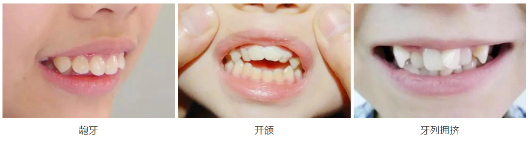 掌上春城(微信)