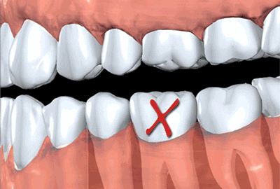 掌上春城(微信)