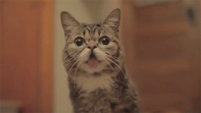 “昆明市西山区发布”微博