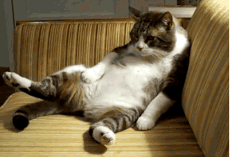 太累的时候爱过敏