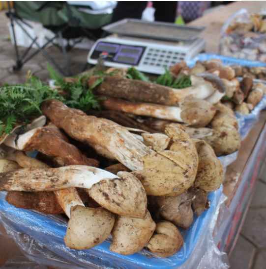 云南楚雄网(微信)