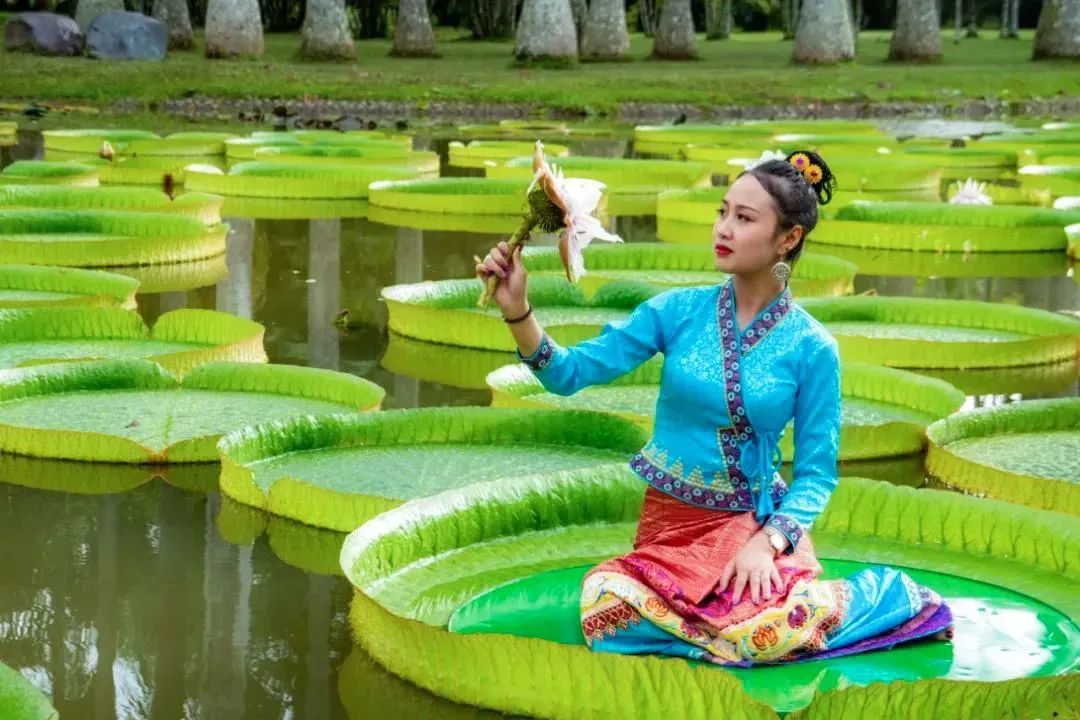 昆明铁路(微信)