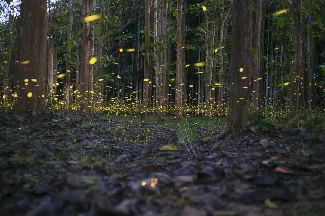 昆明铁路(微信)