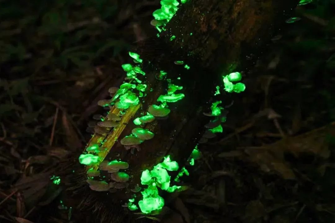 昆明铁路(微信)