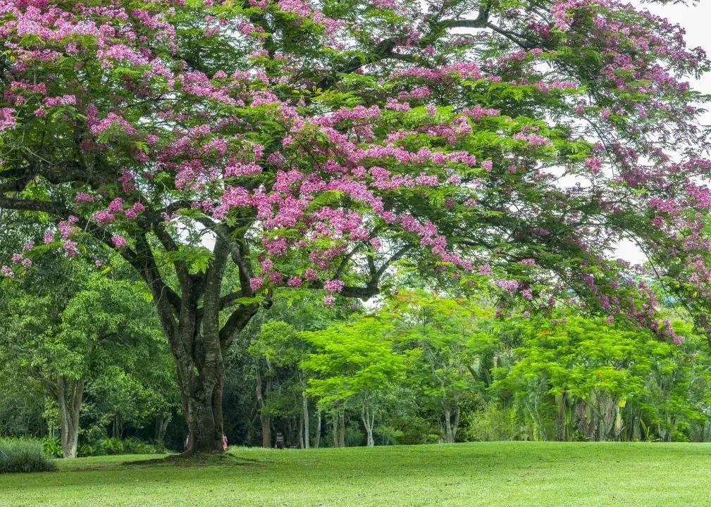 昆明铁路(微信)