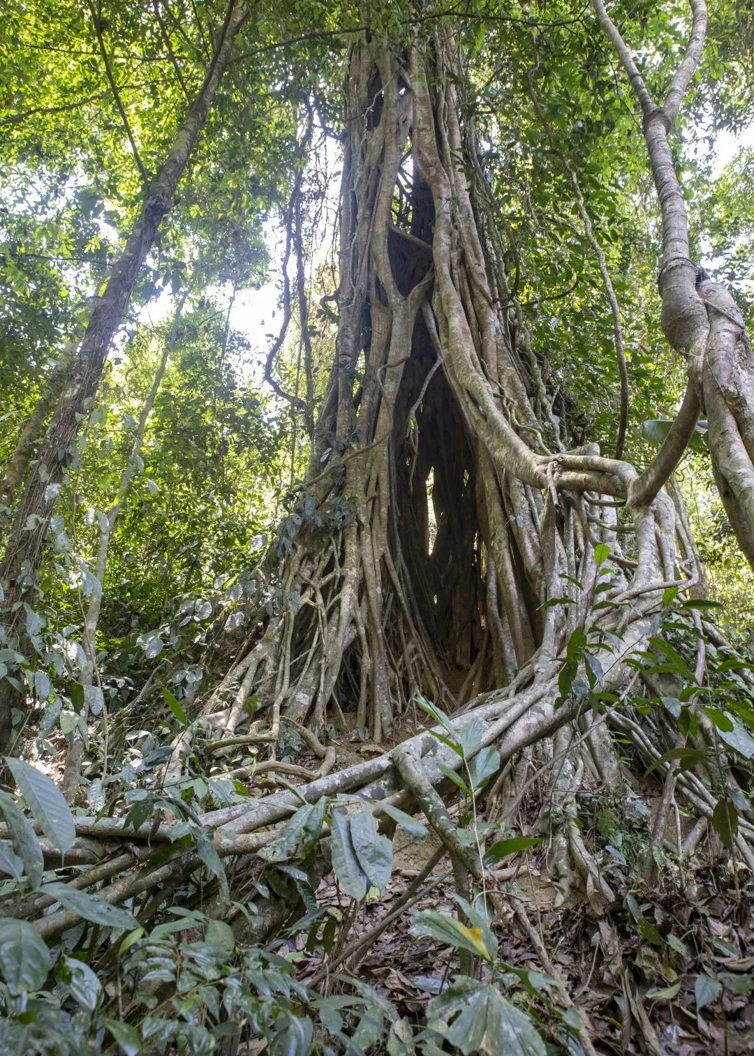 昆明铁路(微信)