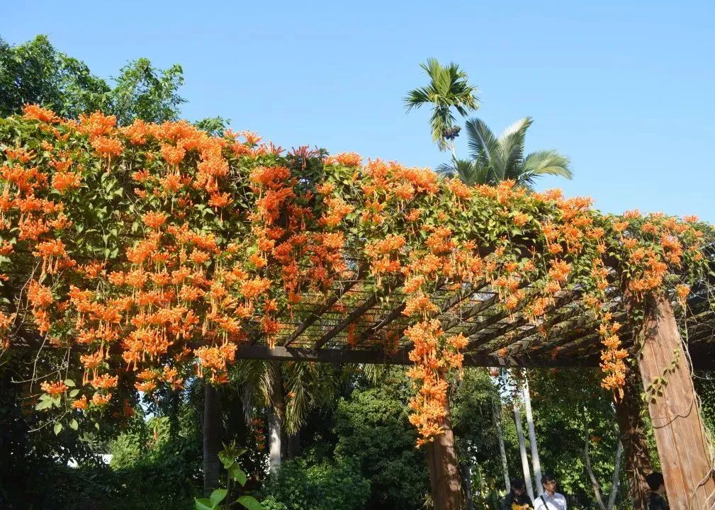 昆明铁路(微信)