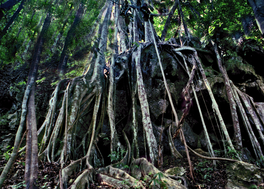 昆明铁路(微信)