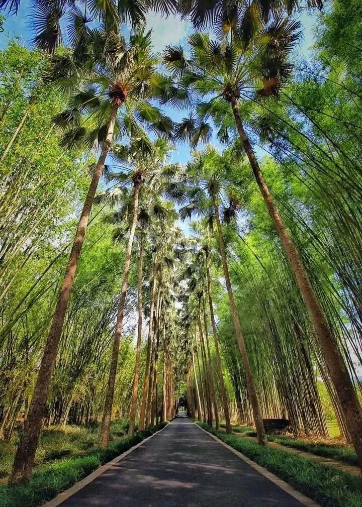 昆明铁路(微信)