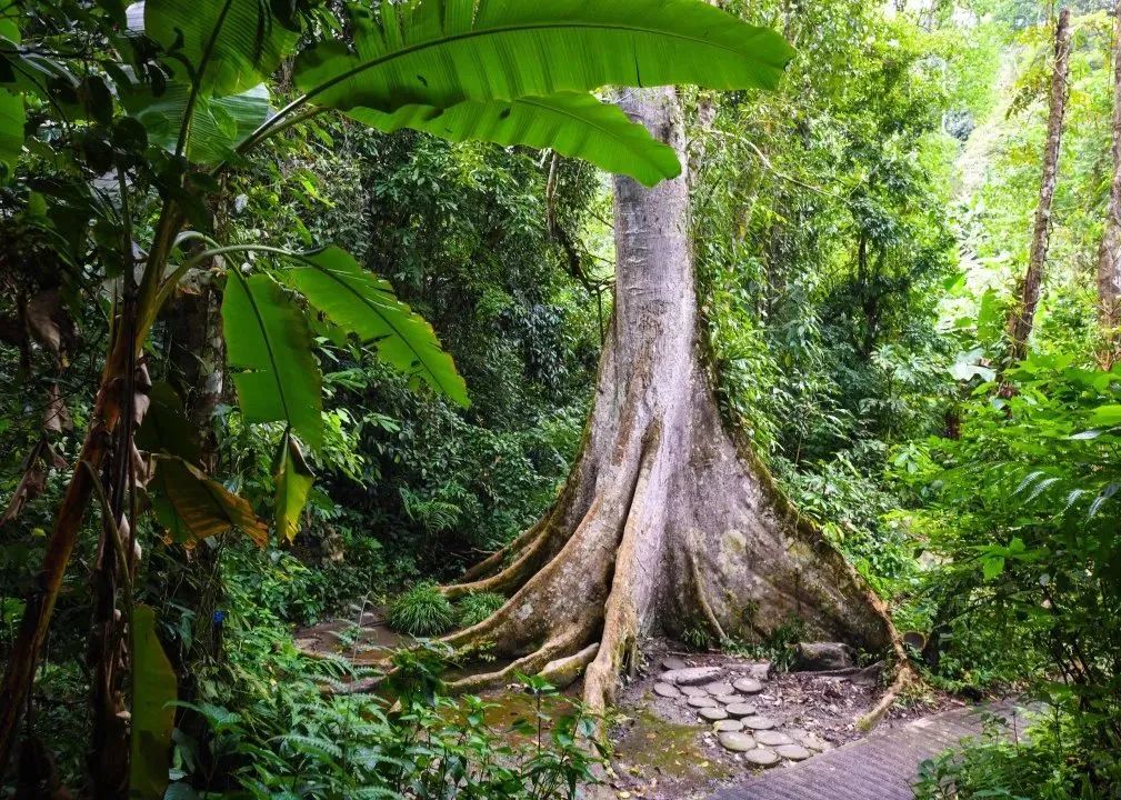 昆明铁路(微信)
