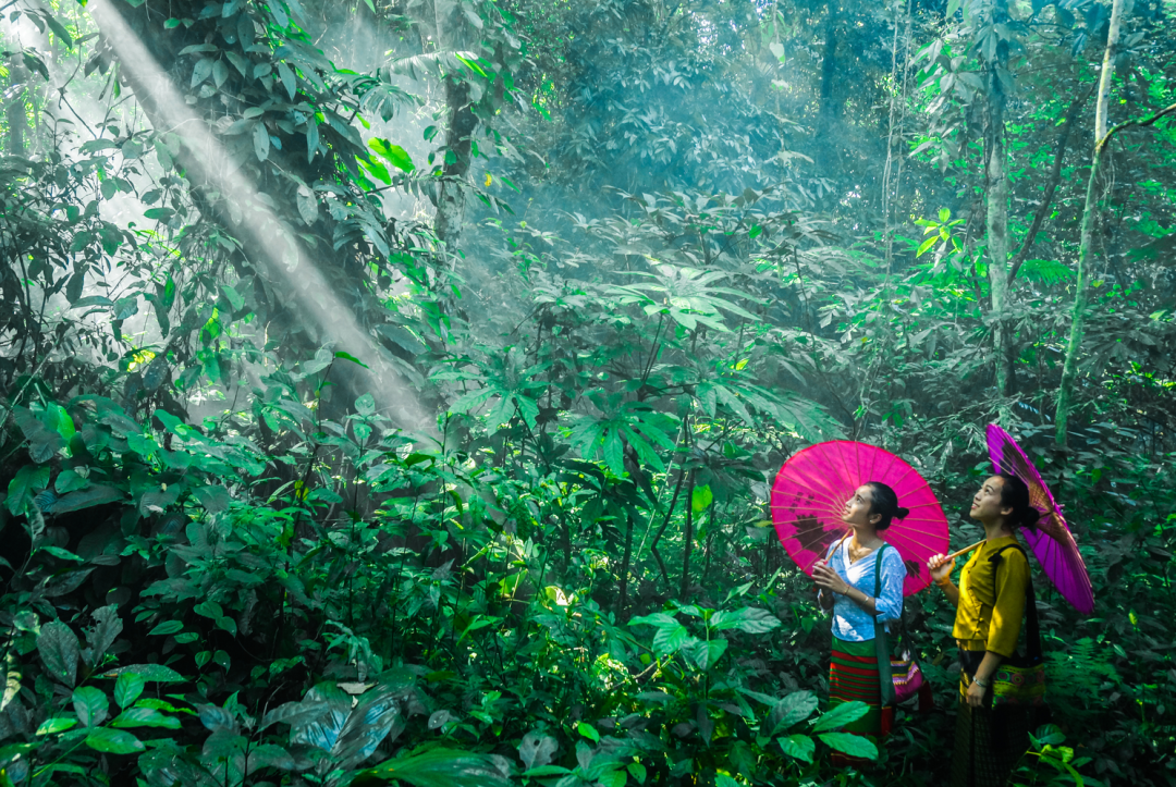 昆明铁路(微信)