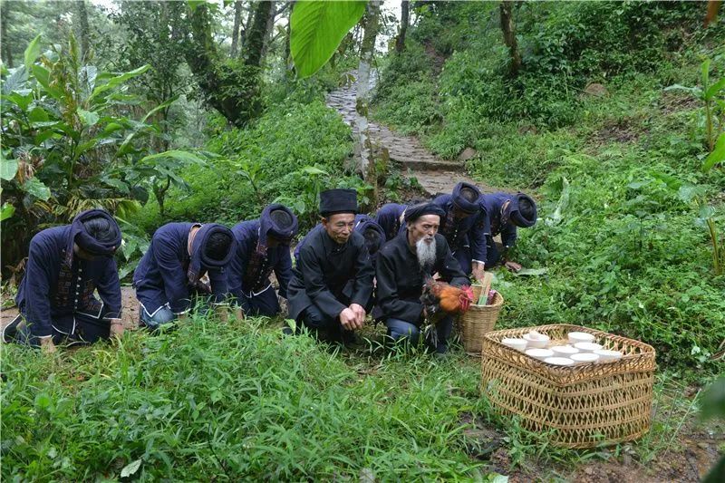 红河文旅(微信)