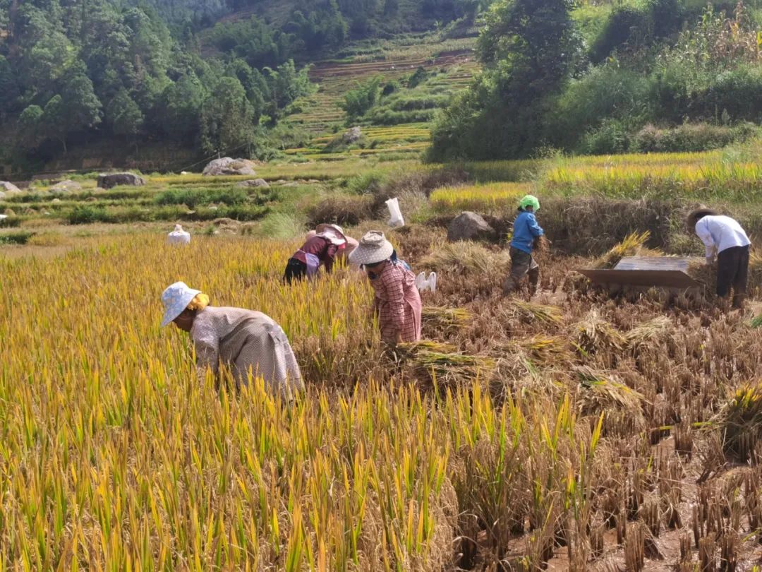 红河文旅(微信)