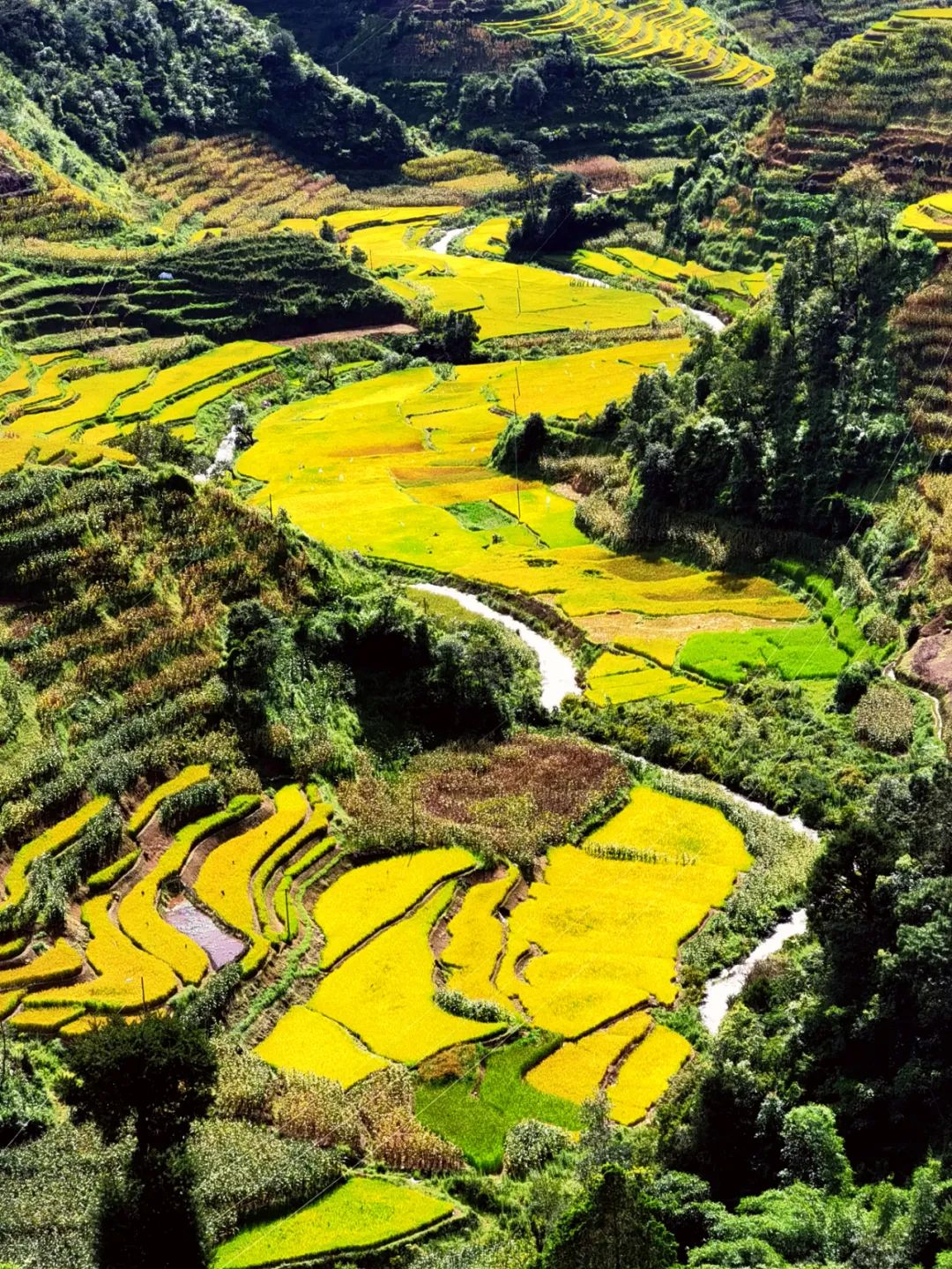 红河文旅(微信)