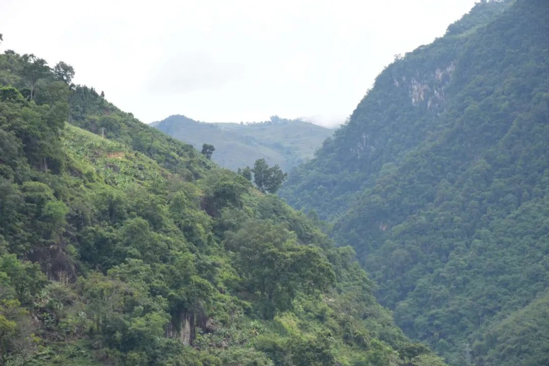 红河文旅(微信)
