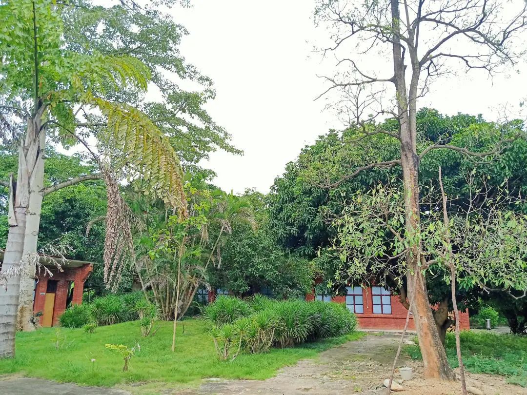 红河文旅(微信)