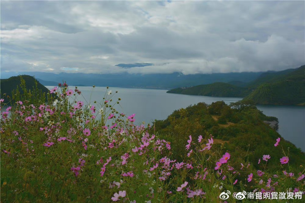 “昆明官渡发布”微博