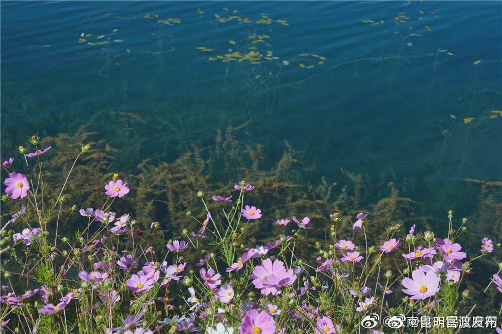 “昆明官渡发布”微博