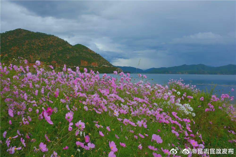 “昆明官渡发布”微博