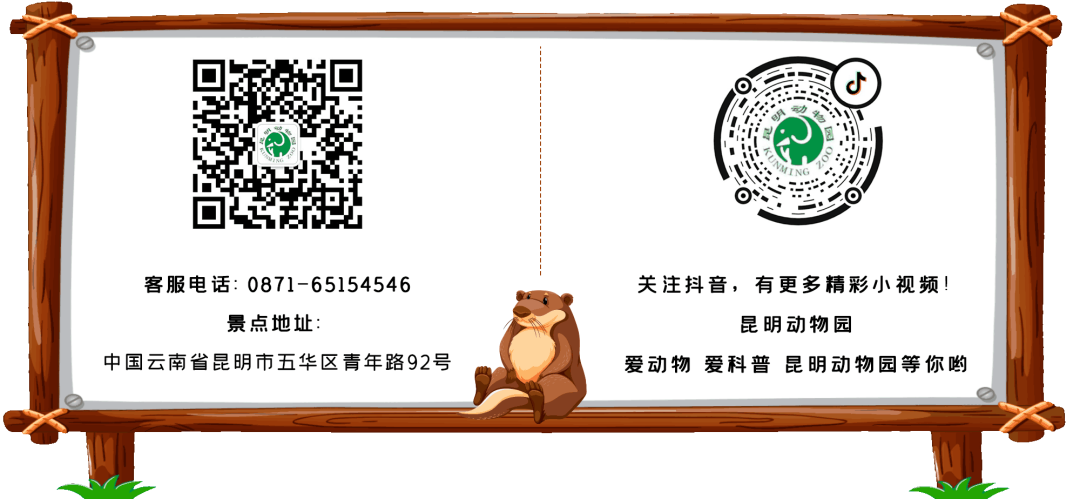 昆明动物园
